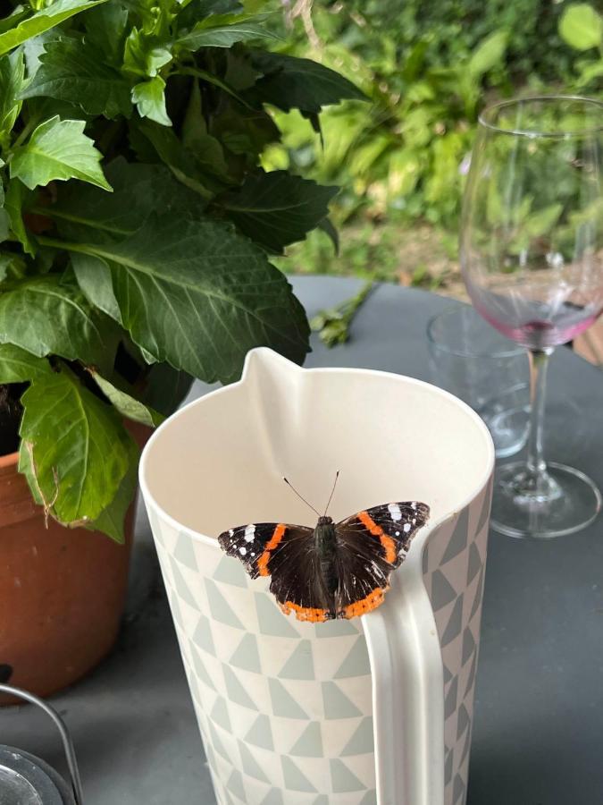 Supergezellig Vakantiehuis Met Hele Grote Tuin Bij Nijmegen Ewijk Buitenkant foto