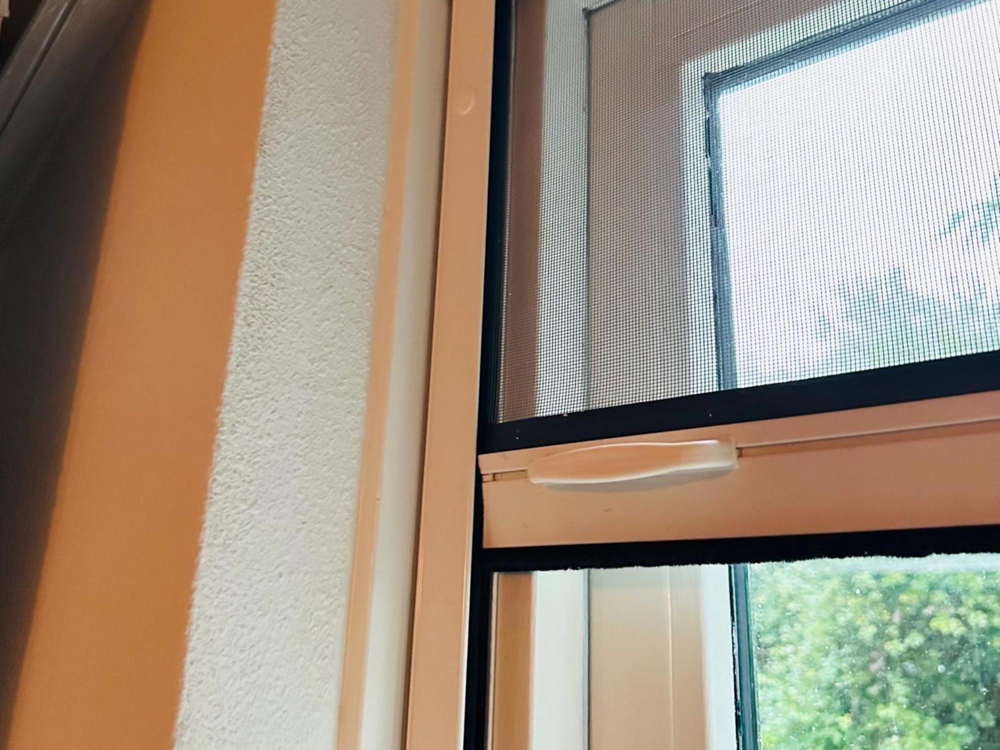 Supergezellig Vakantiehuis Met Hele Grote Tuin Bij Nijmegen Ewijk Buitenkant foto